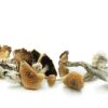 Magic Mushrooms Mix 10kg