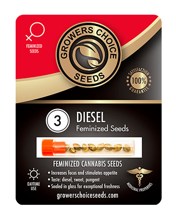 Marijuana Diesel Feminized Cannabis Seeds 3